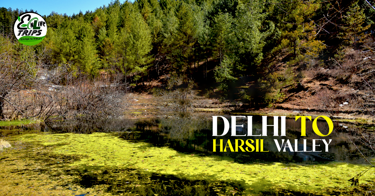 Delhi to Harsil valley